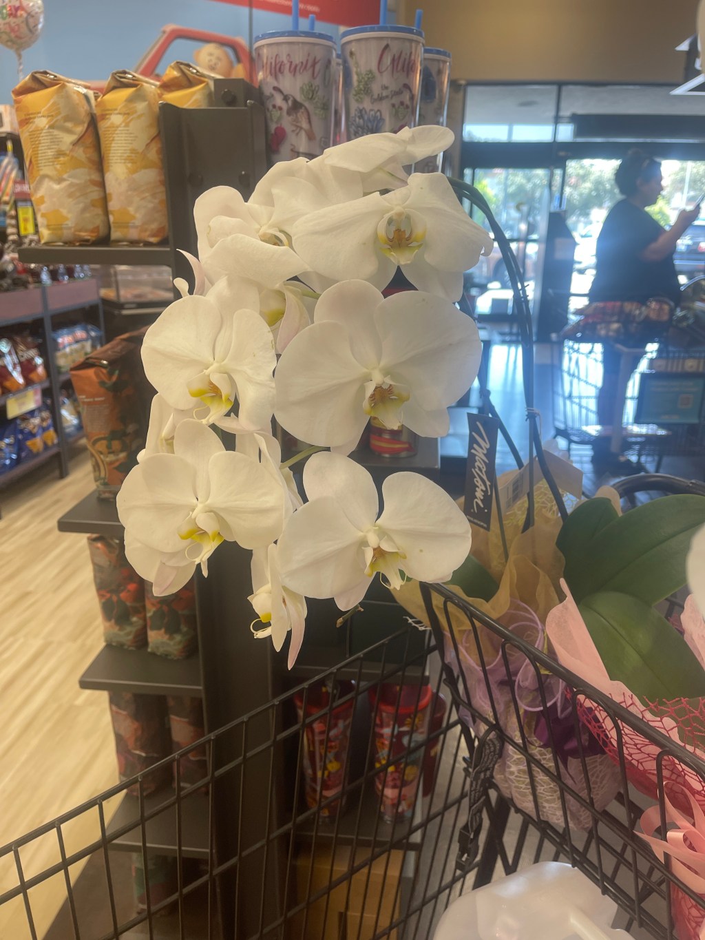 The beautiful stranger, a Whole Foods&nbsp;encounter.